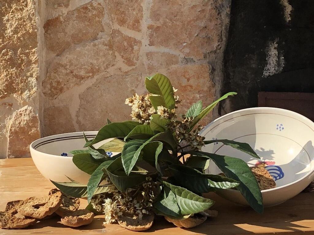 Chateaux des Trulli San Michele Salentino Extérieur photo
